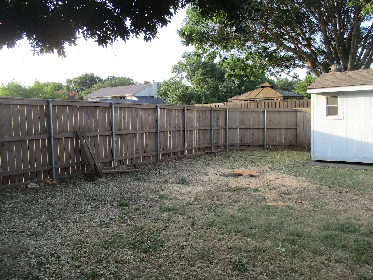 Cleared yard after professional tree removal in New Haven
